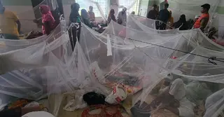 ডেঙ্গুর হটস্পট বরগুনা: সংক্রমণ বাড়লেই শুরু হয় অভিযান!
